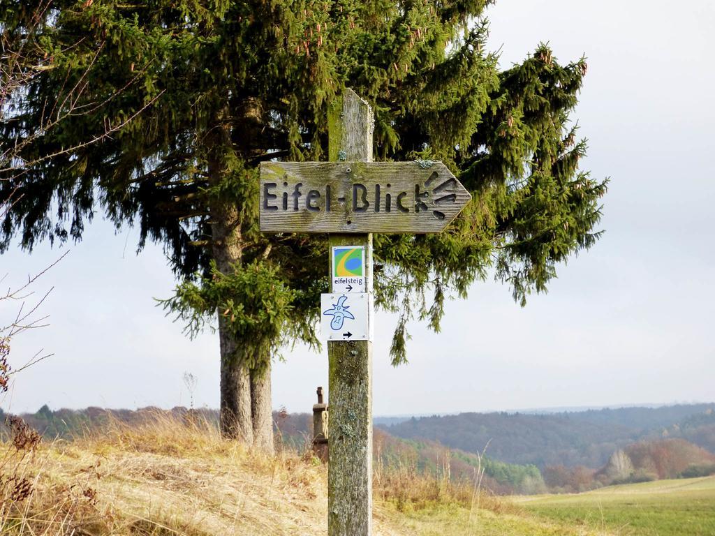 Willa Relaxen Am Nationalpark Eifel Ahrhutte Zewnętrze zdjęcie
