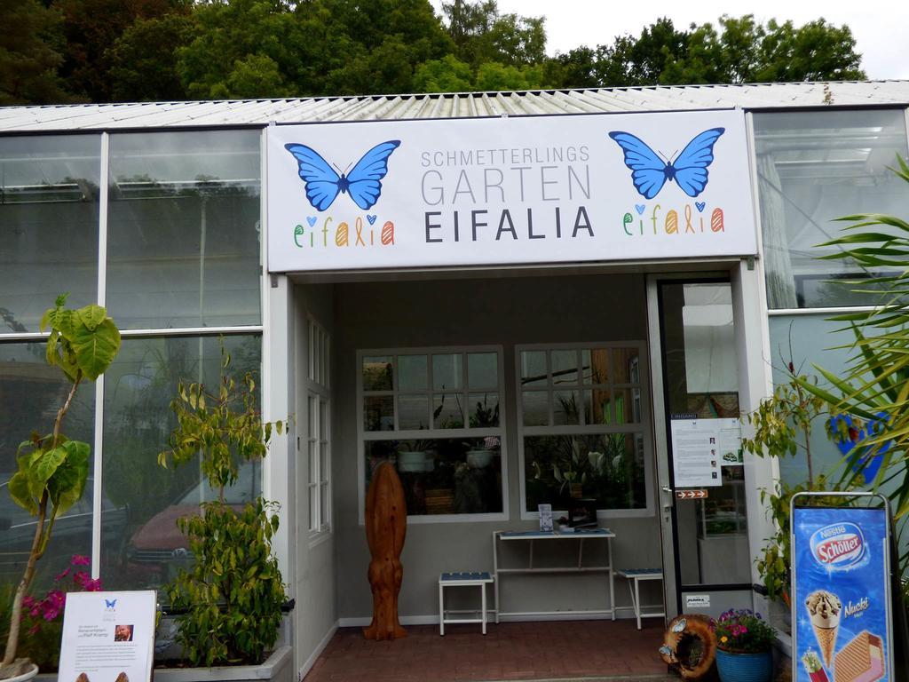 Willa Relaxen Am Nationalpark Eifel Ahrhutte Zewnętrze zdjęcie